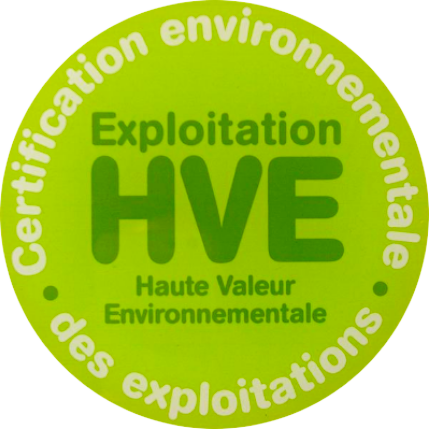 HVE